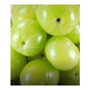 Fresh Amla | Avala